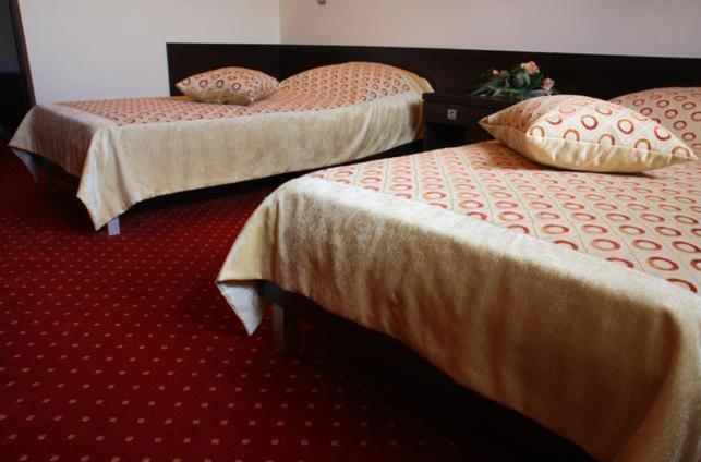 Hotel Wasik Krogulcza Rum bild